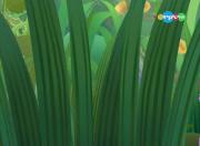 417. 33 жучка - Лунтик