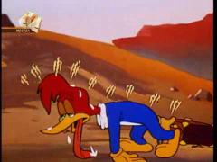 Вуди Вудпекер - Розыграш