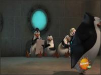 Пингвины из Мадагаскара - 08: Пингвидитель Забирает Всё