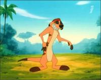 Приключения Тимона и Пумбы - Горе-гуру, Тюремный шок