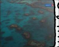 Забавная наука - 131 выпуск