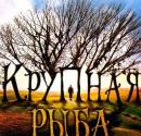 Крупная рыба (2003) - Приключения