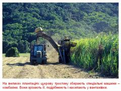 Cвіт навколо нас - Цукор і сіль