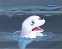 Корова, кот и океан - Ясная акула