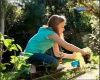 Забавная наука - 123 выпуск