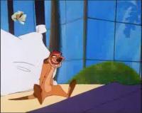 Приключения Тимона и Пумбы - Под пальмами Пал Бича, Маята на Ямайке