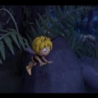 Бджілка Майя 3D (2012) - 6. Нічна краса