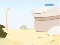 Знаете ли вы что?.. - Мозг страуса