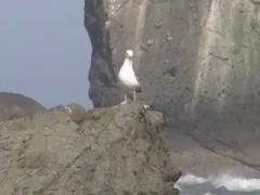 Vangelis - Aquatic Dance