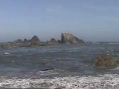 Vangelis - Fields Of Coral