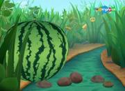 415. Арбуз - Лунтик