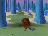 Крутые Бобры - 60. В поисках суперзада