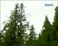 Забавная наука - 107 выпуск