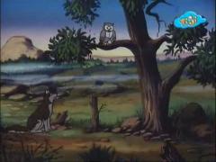 Сказки дядюшки Бобра - Кокос исчет друга