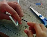 Забавная наука - 110 выпуск