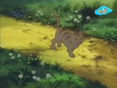 Сказки дядюшки Бобра - Счасливая кошка