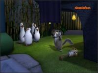 Пингвины из Мадагаскара - 46: Влюблённый Сокол