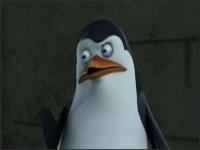 Пингвины из Мадагаскара - 25: Хитрый Роджер