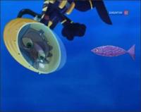 Корова, кот и океан - Раковины и ракообразные