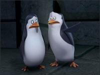 Пингвины из Мадагаскара - 2x01 - Красная белка