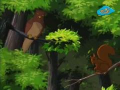 Сказки дядюшки Бобра - Песенка совы