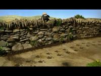 Барашек Шон - Cheetah Cheater