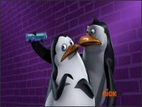 Пингвины из Мадагаскара - 2x12 - Выживший в каменных джунглях