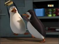 Пингвины из Мадагаскара - 2x47 - Ослабленные селедкой