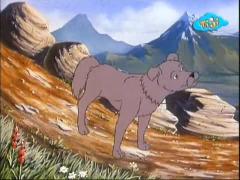 Сказки дядюшки Бобра - Сигалу идёт в гору