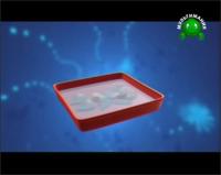 Тельмо и Тула. Самоделкины - Переработанная бумага