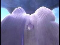 Приключения Дельфинёнка Муму - Счастливая бабушка