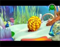 Алекс на море - Рак-отшельник