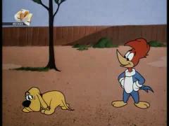 Вуди Вудпекер - Прощай любимая школа