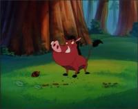 Приключения Тимона и Пумбы - Свинтус священный, Белкины проделки