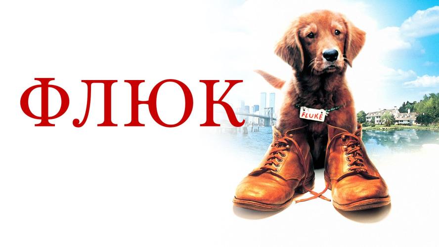 Флюк (1995)