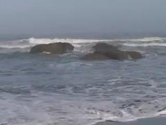 Vangelis - Dreams Of Surf