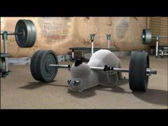 Бернард /Bernard/ - The gym