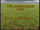 Караоке (укр. пісні) - Ой, летіли дикі гуси