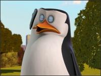 Пингвины из Мадагаскара - 2x04 - Помётные обязанност