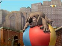 Пингвины из Мадагаскара - 2x40 - Управление гневом кенгуру