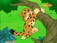 Диего, вперед! - Малыш китёнок