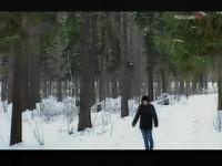 Фитиль - В лесу родилась ёлочка