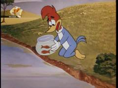 Вуди Вудпекер - Потерявшийся тюлень