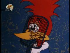 Вуди Вудпекер - Удалой комарик