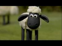 Барашек Шон - Timmy in a tizzy