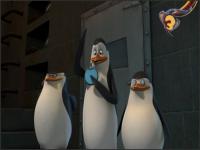 Пингвины из Мадагаскара - 2x05 - Не трогать