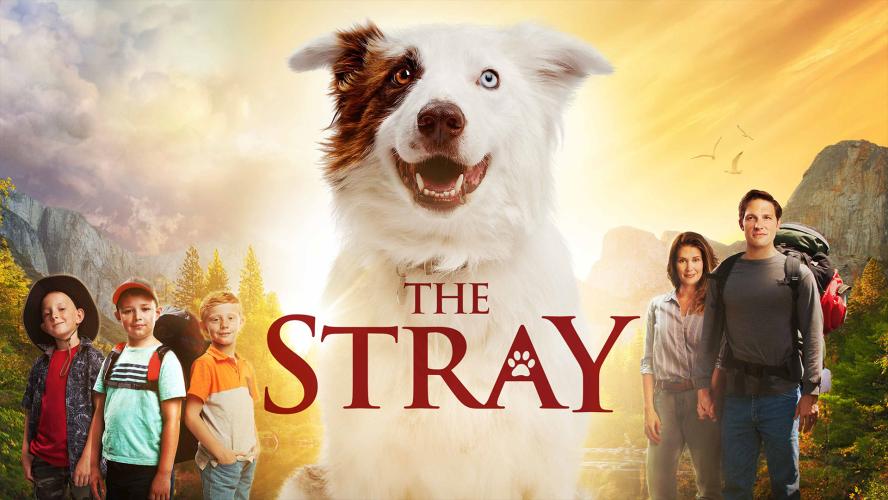 Бродяжка (2017)