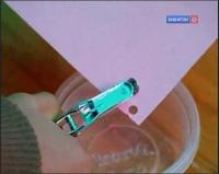 Забавная наука - 64 выпуск