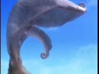 Приключения Дельфинёнка Муму - Спасательная тень