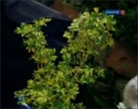 Забавная наука - 127 выпуск